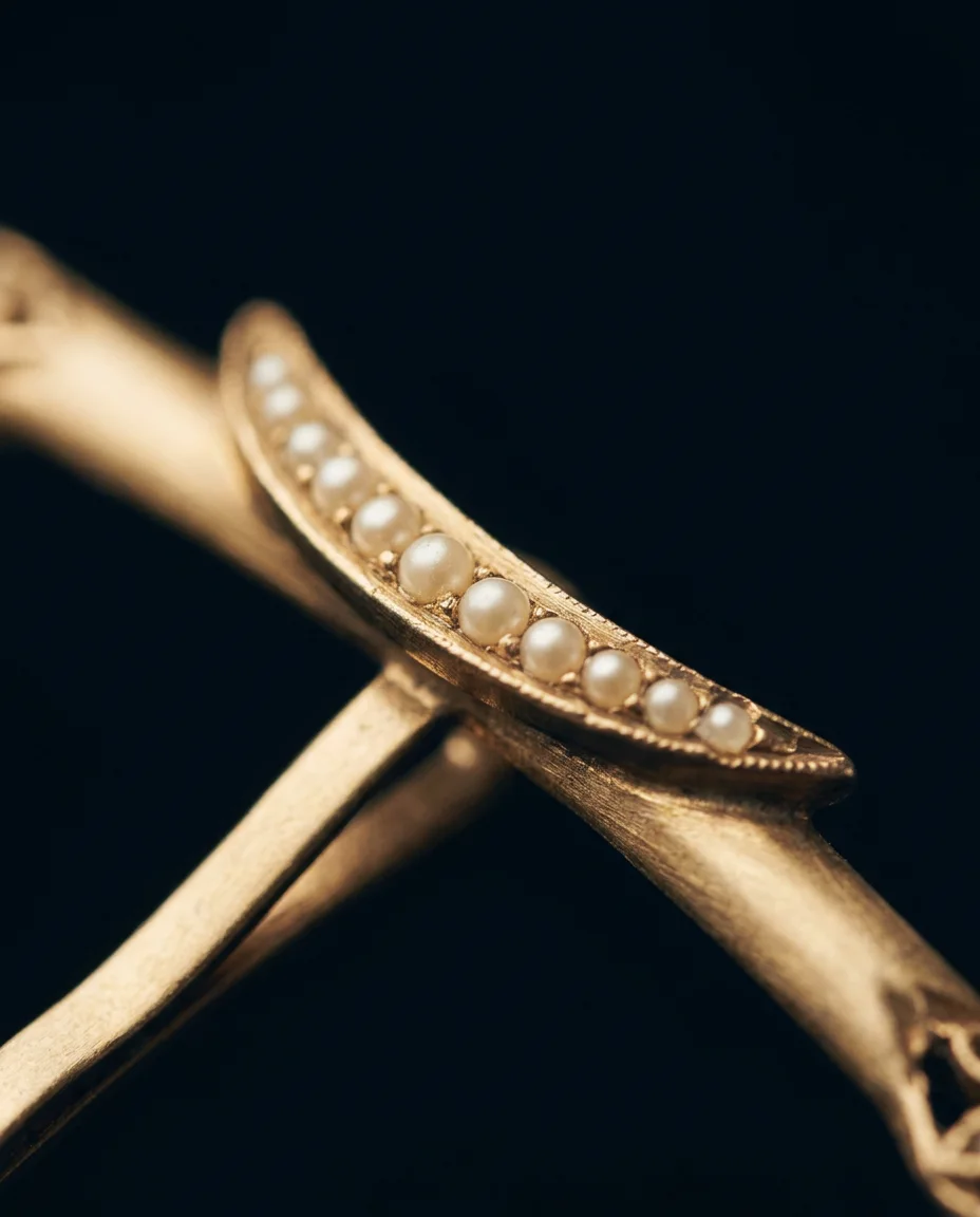 Comet Hairpin — macro of the faceted head and ridged legs